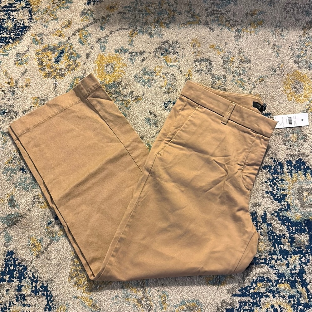 ANN TAYLOR Devin Fit Khaki Pants